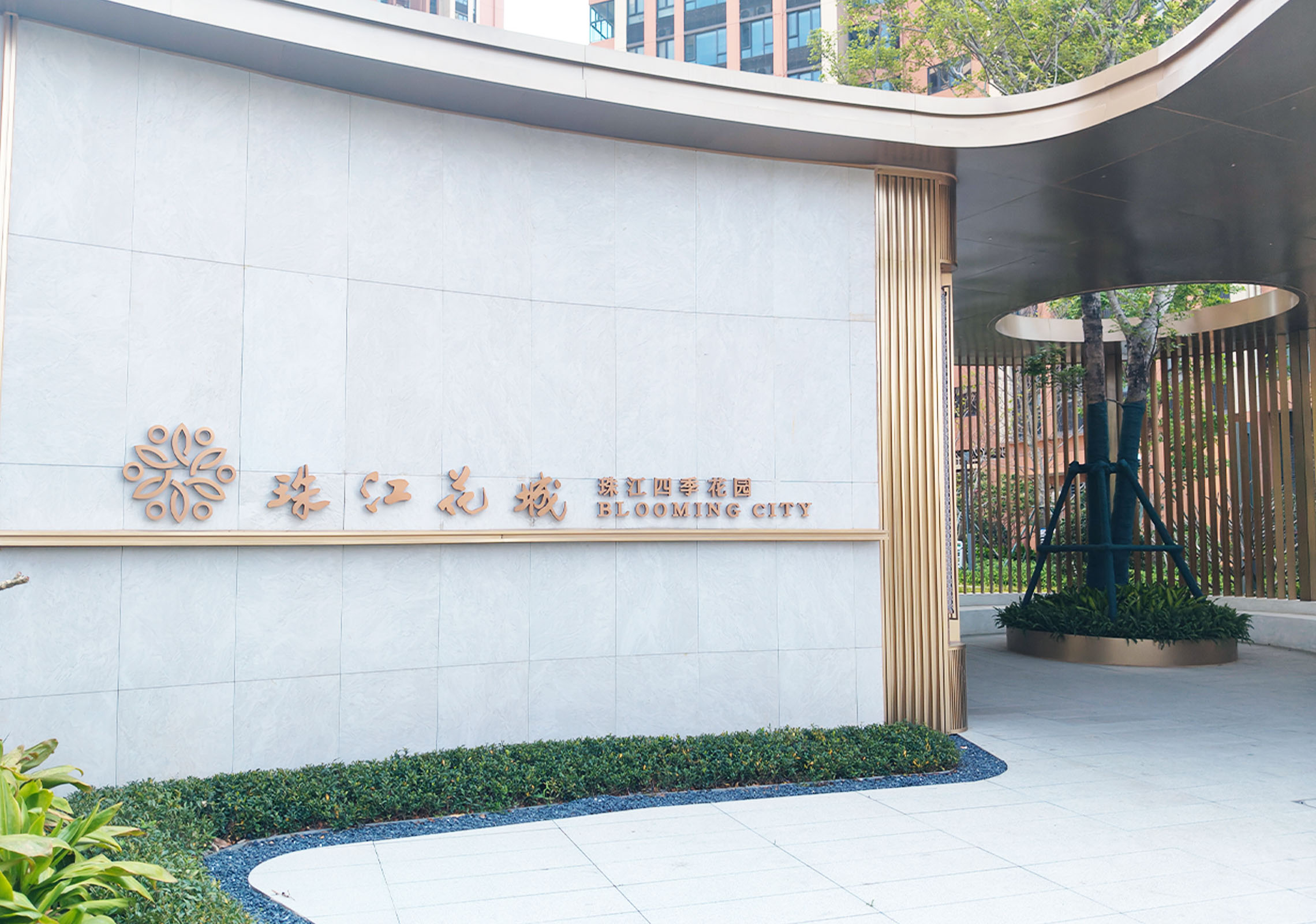 详情大图