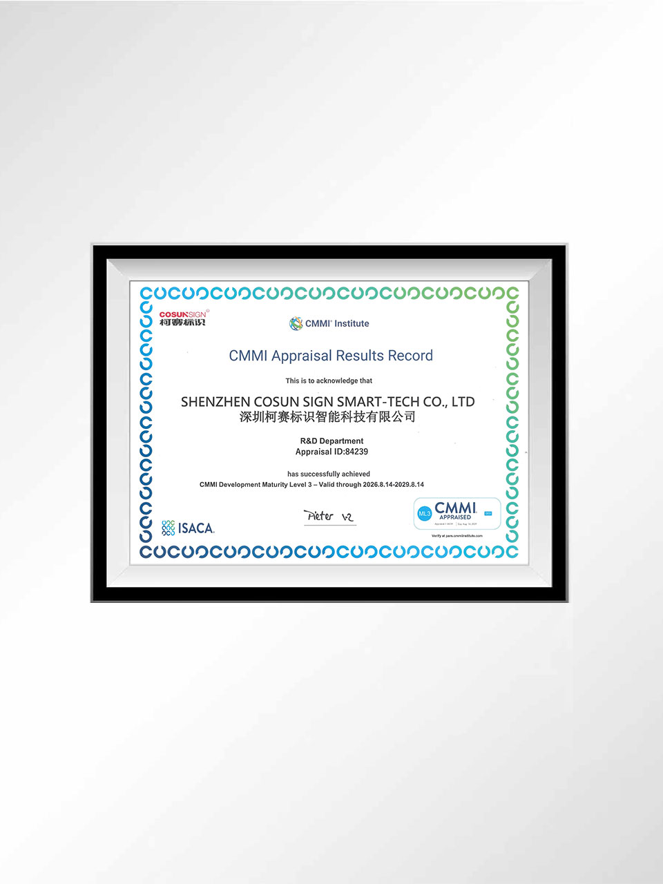 11 CMMI Development Maturity Level