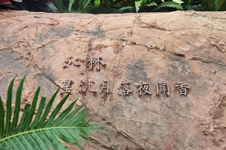 卖点图3已修